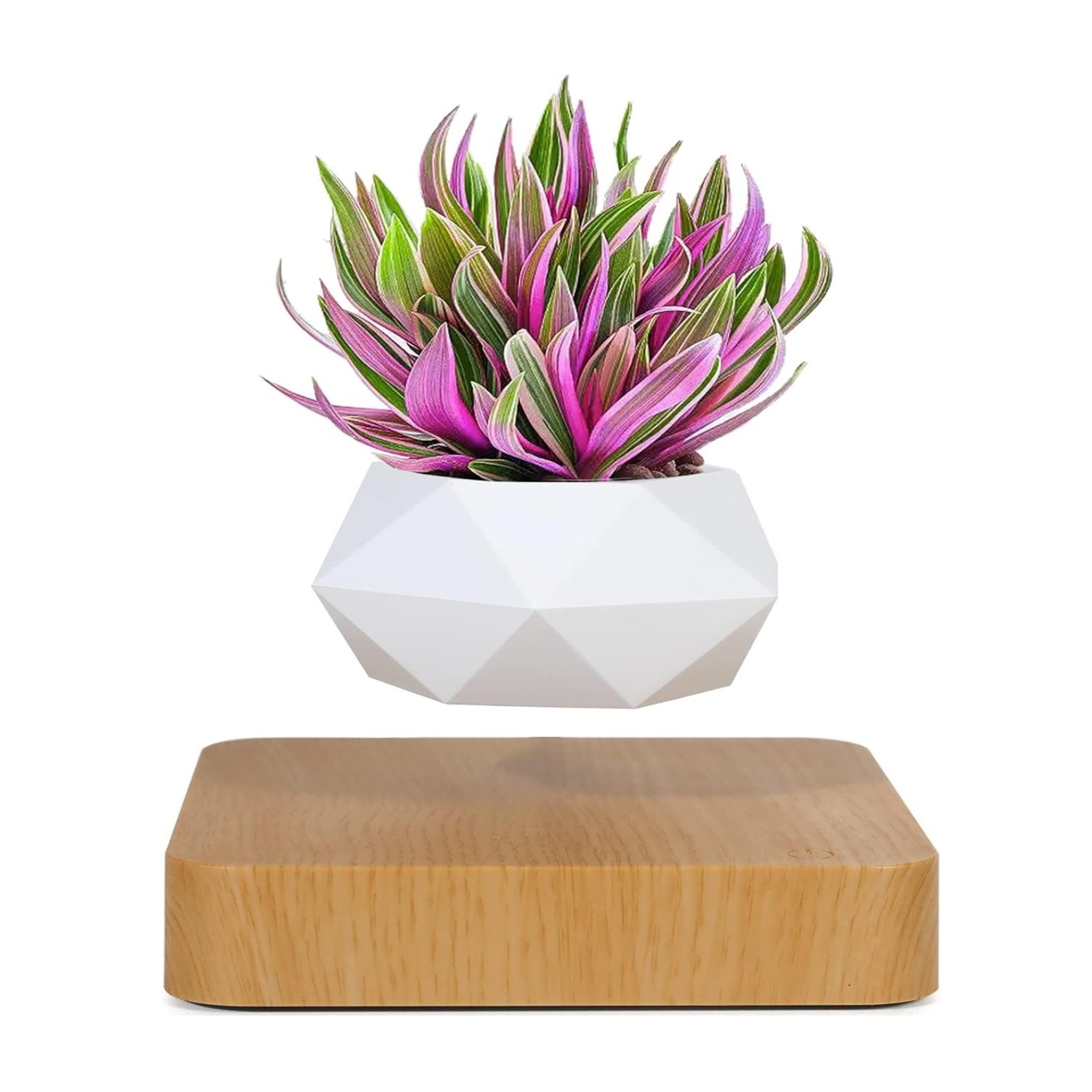 Plantlev – Floating Plant Pot with 360° Rotation for Modern Living