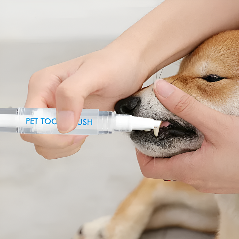 1+1 FREE |PawBright – Effortless Pet Dental Care for a Healthier Smile