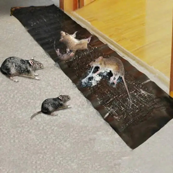 RatTrap – Non-Toxic Sticky Trap for Effective Pest Control