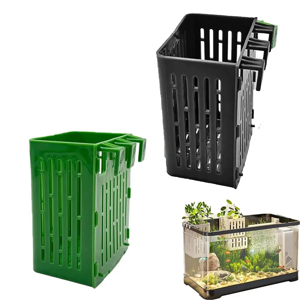 1+1 FREE | TankBloom – Effortless Beauty for Your Aquarium