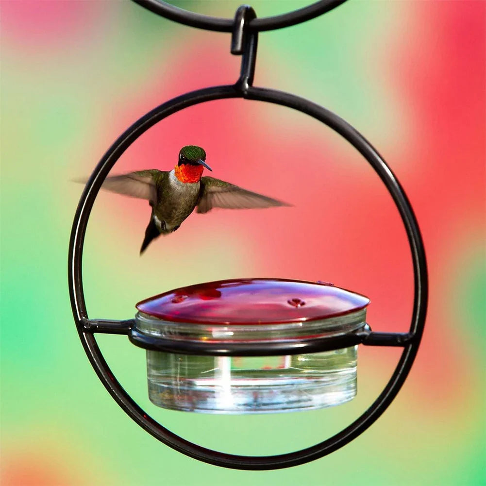 BirdJoy - Attract hummingbirds without the mess