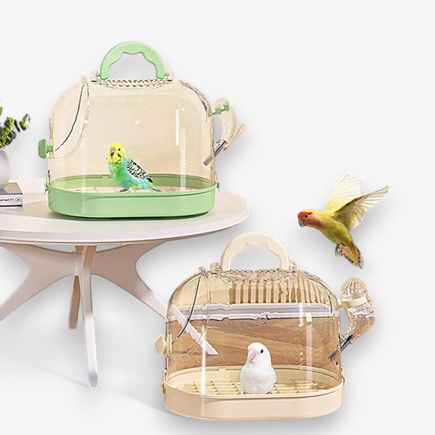 ElviTravel – Travel Comfortably with Your Small Pet