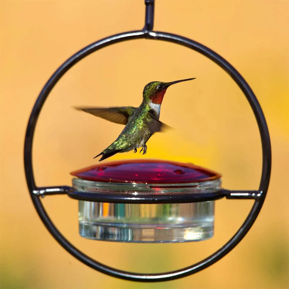 BirdJoy - Attract hummingbirds without the mess