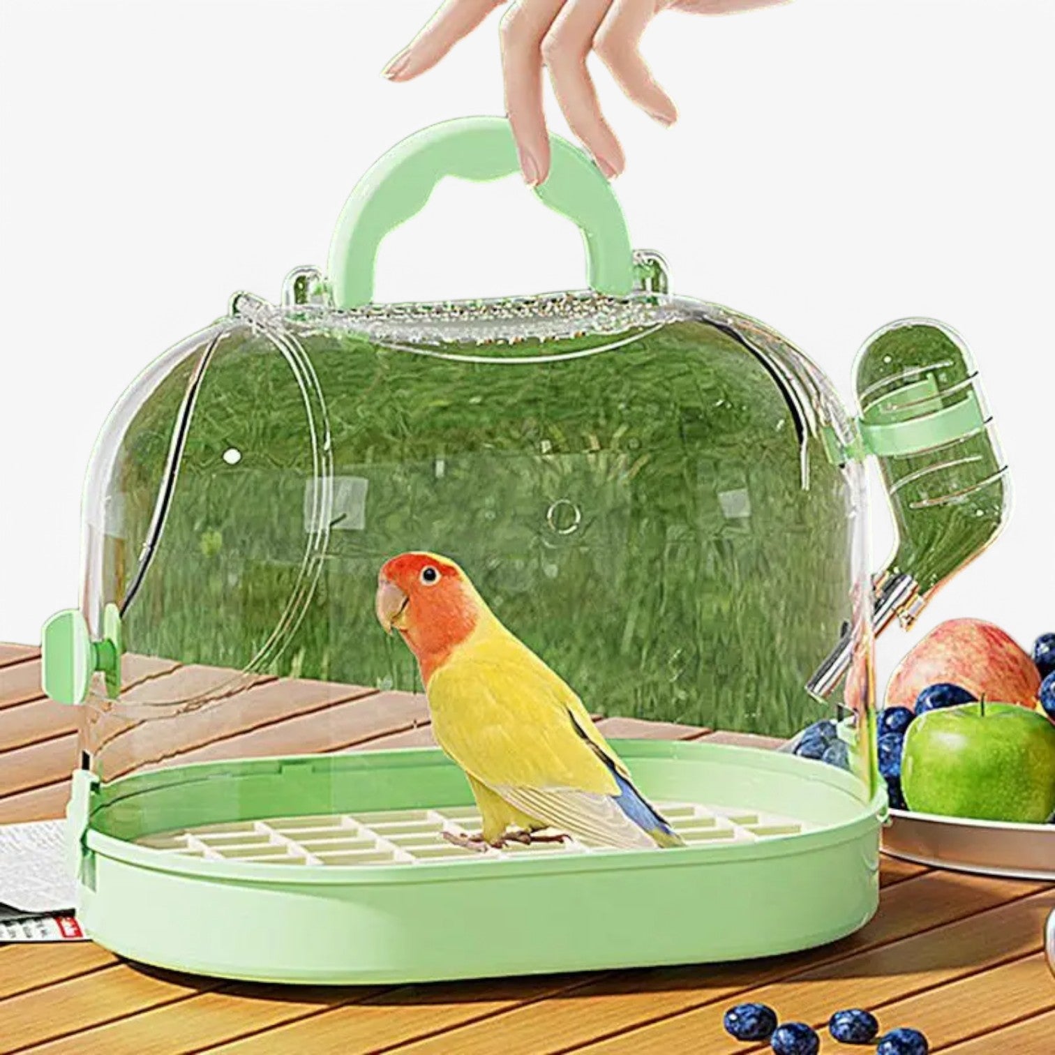 ElviTravel – Travel Comfortably with Your Small Pet