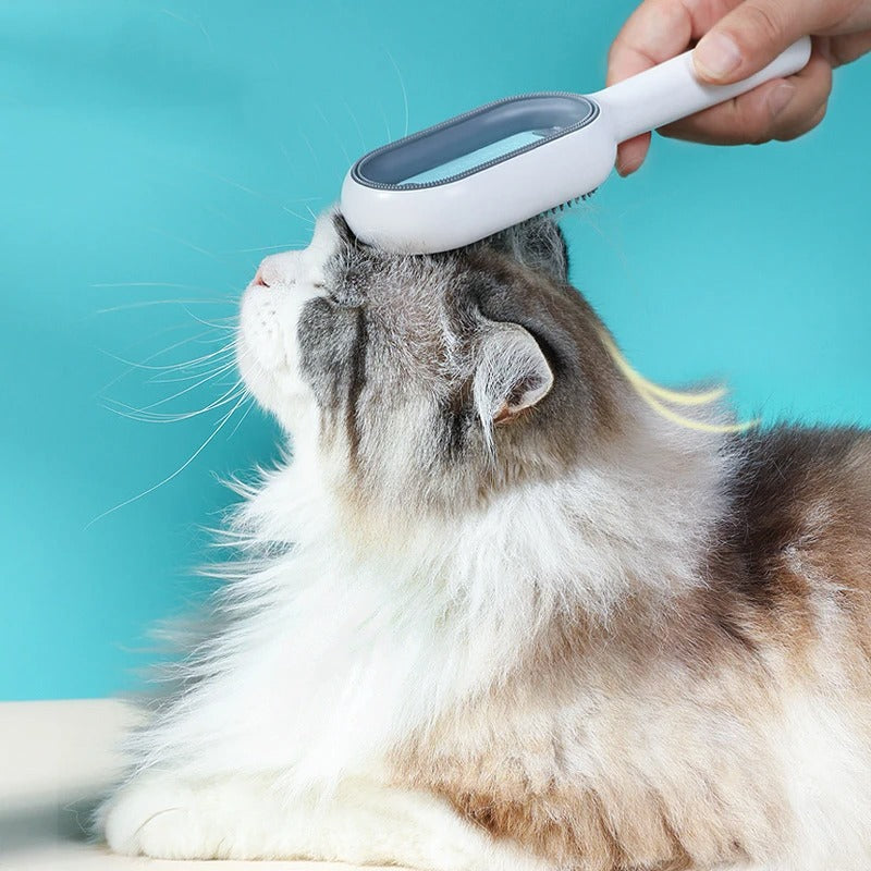 1+1 FREE | PawLuxe – The Ultimate Grooming Experience for Your Pet!