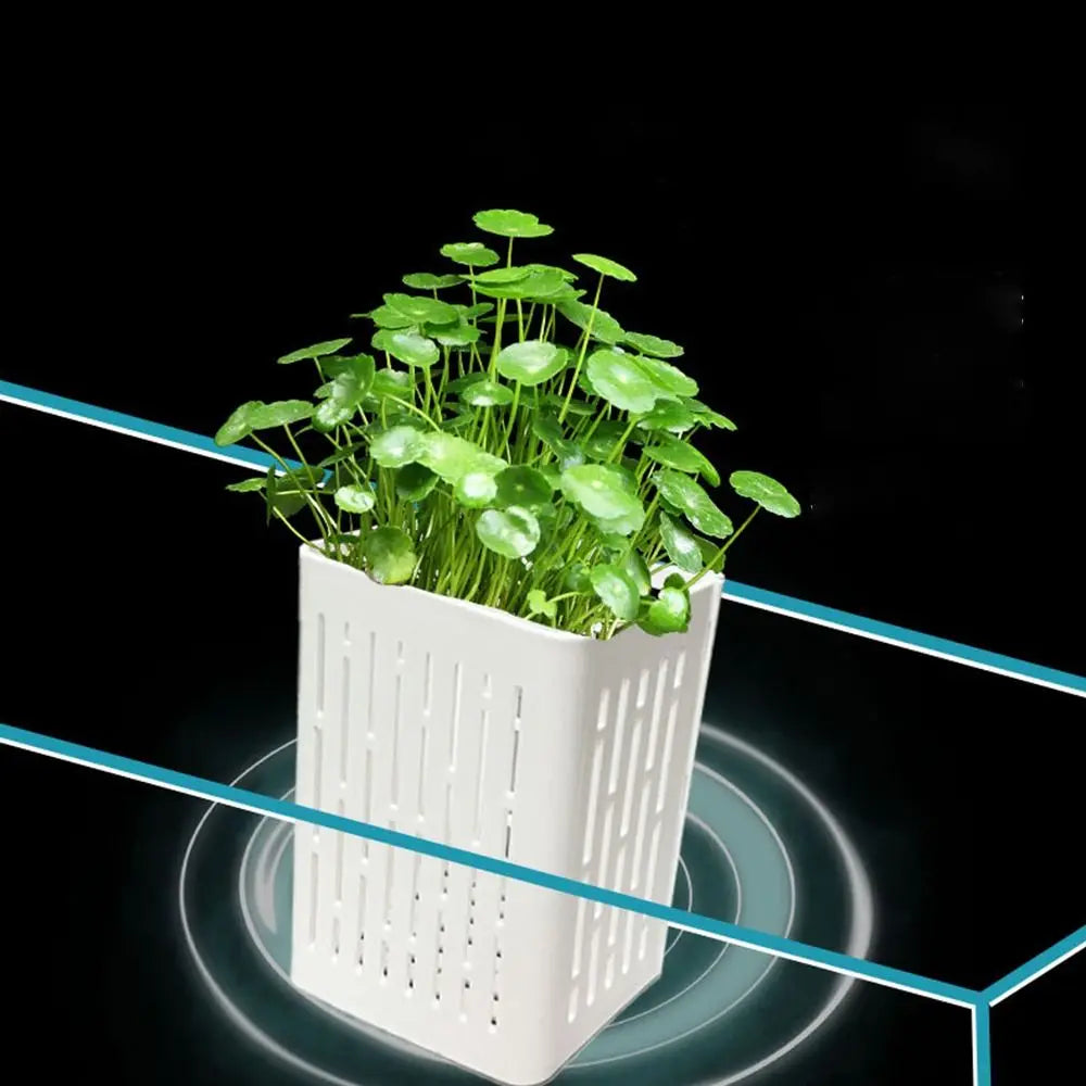 1+1 FREE | TankBloom – Effortless Beauty for Your Aquarium