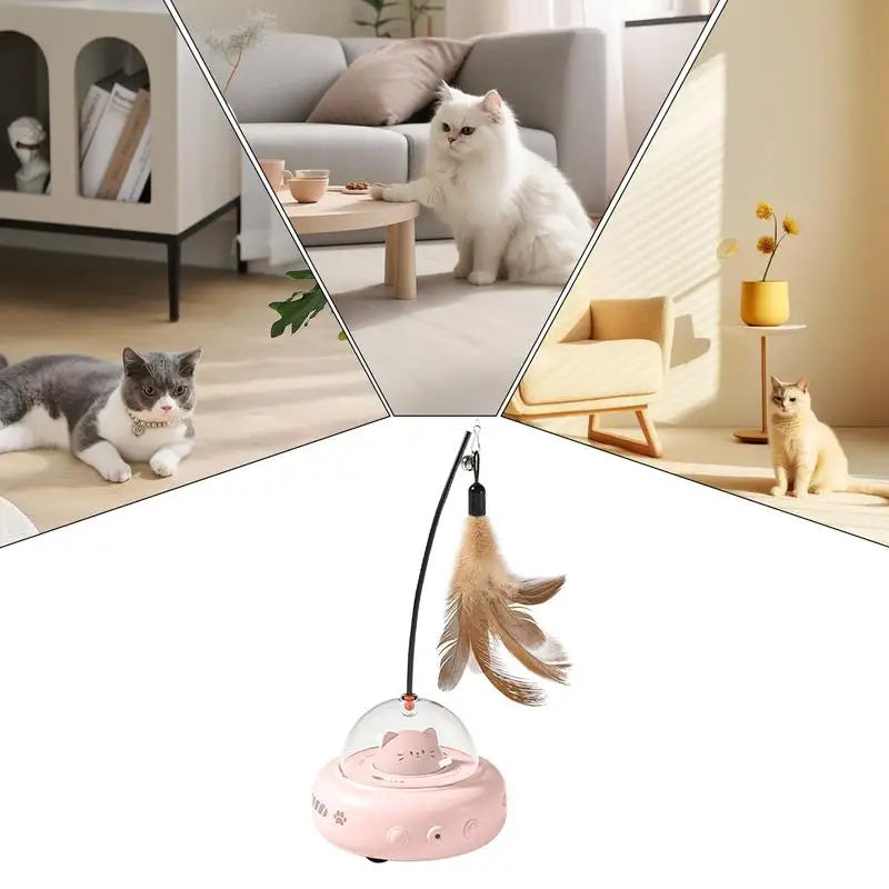 CatRocket – Keep Your Cat Entertained and Active While You’re Away