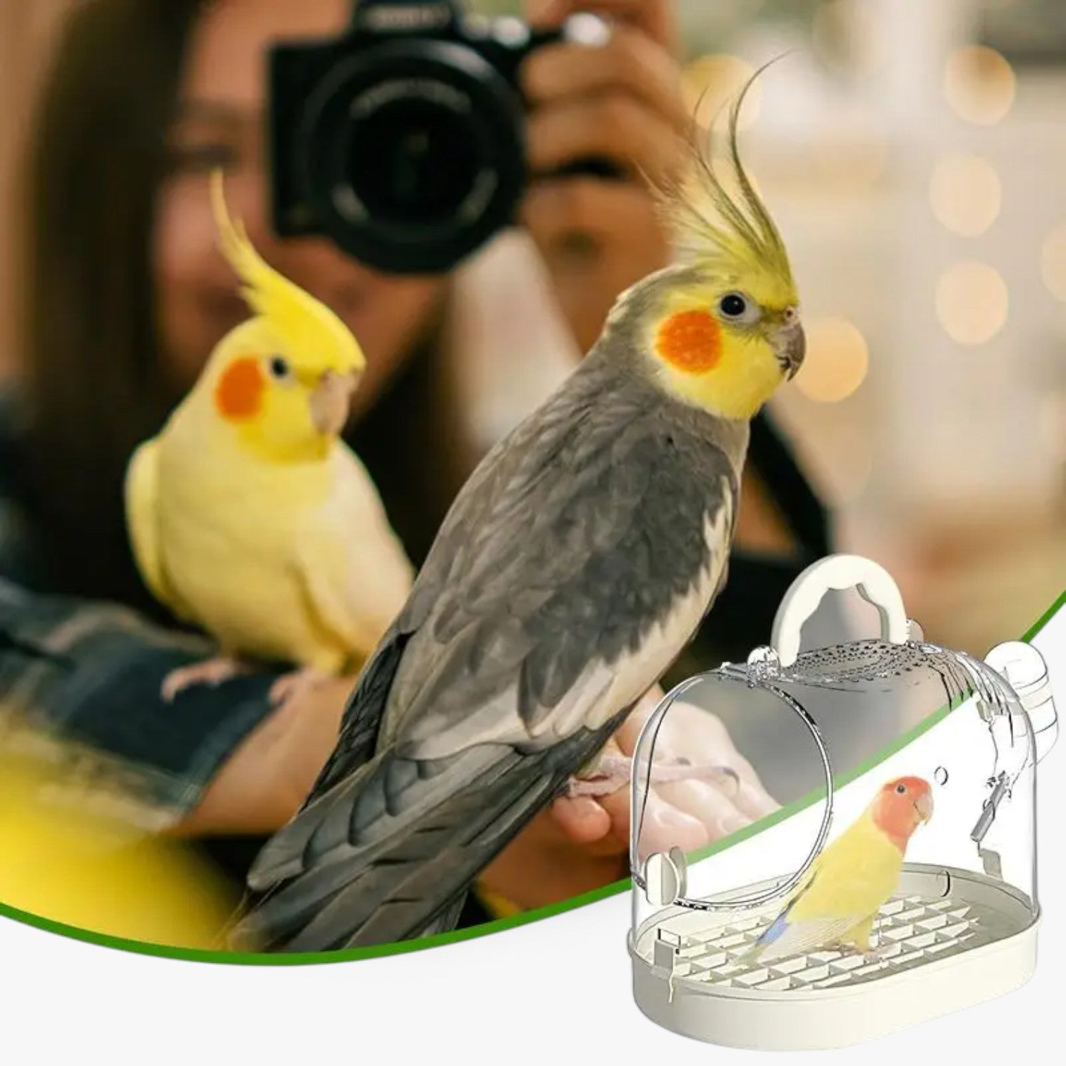 ElviTravel – Travel Comfortably with Your Small Pet