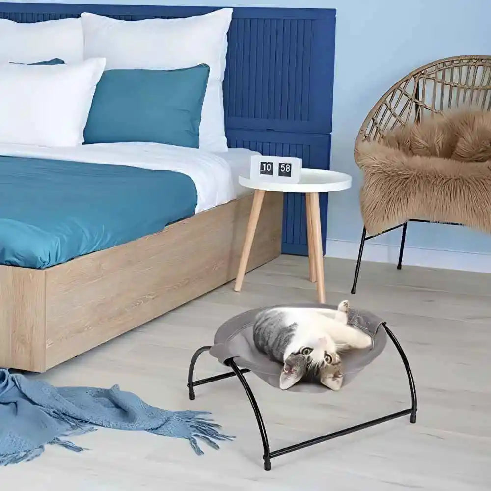 CoolNest – Keep Your Pet Comfortable, Cool, and Clean All Year Long