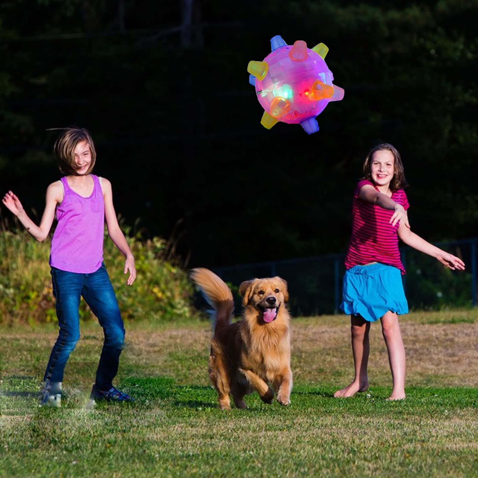 1+1 FREE | BounceBuddy™ - The interactive bouncy ball for dogs!