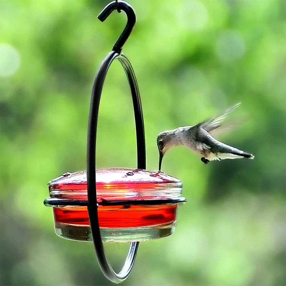 BirdJoy - Attract hummingbirds without the mess