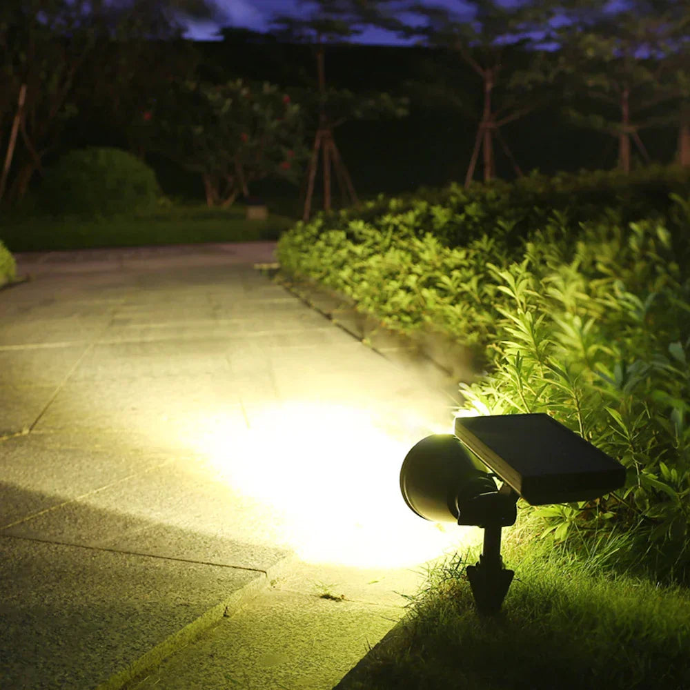 LumiBloom - Stylish Solar Energy for Outdoors