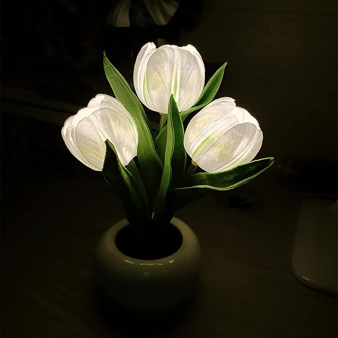 BloomTulip – Romance & Light in One!