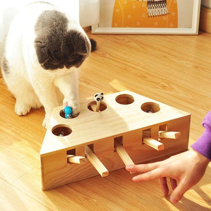 PawFun Wood – Endless Play Fun for Happy Cats