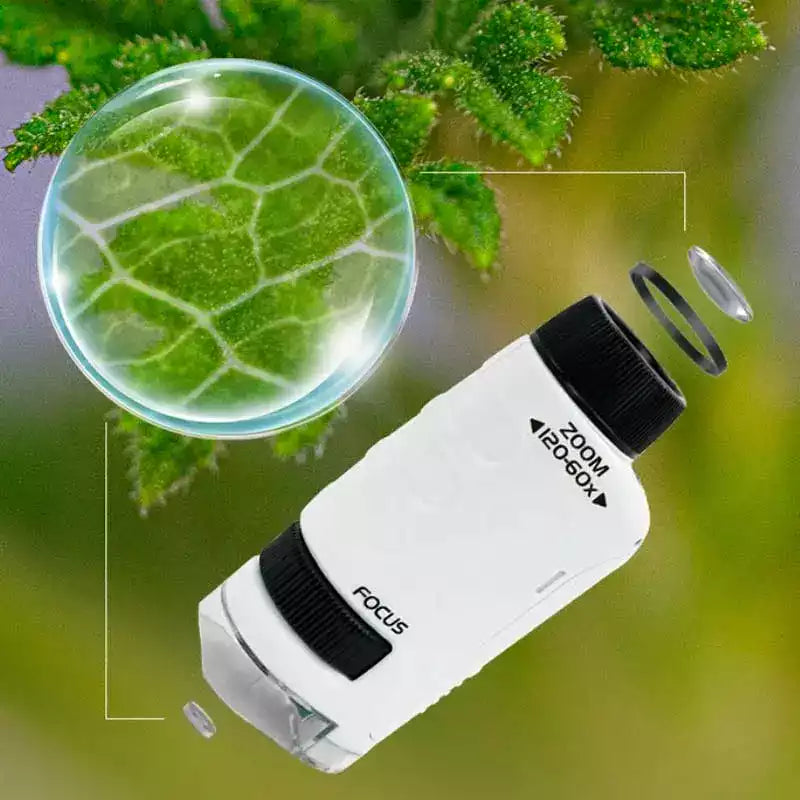 MicroQuest – Explore the Microscopic World with Your Smartphone