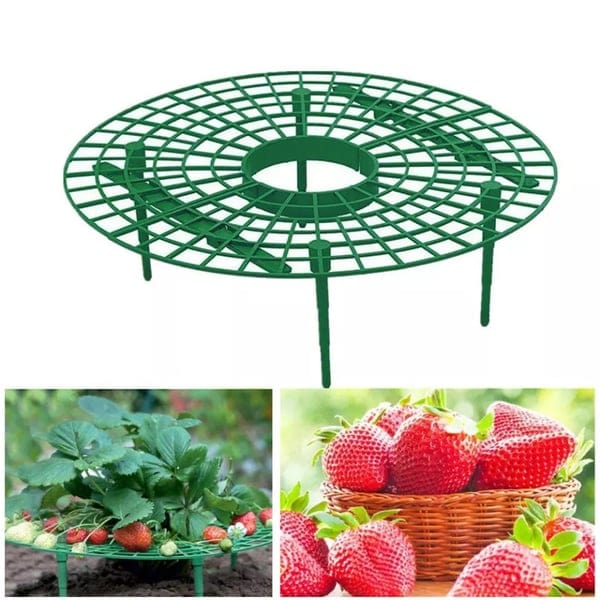 1+2 FREE | GrowBerry - Strawberry growing frame