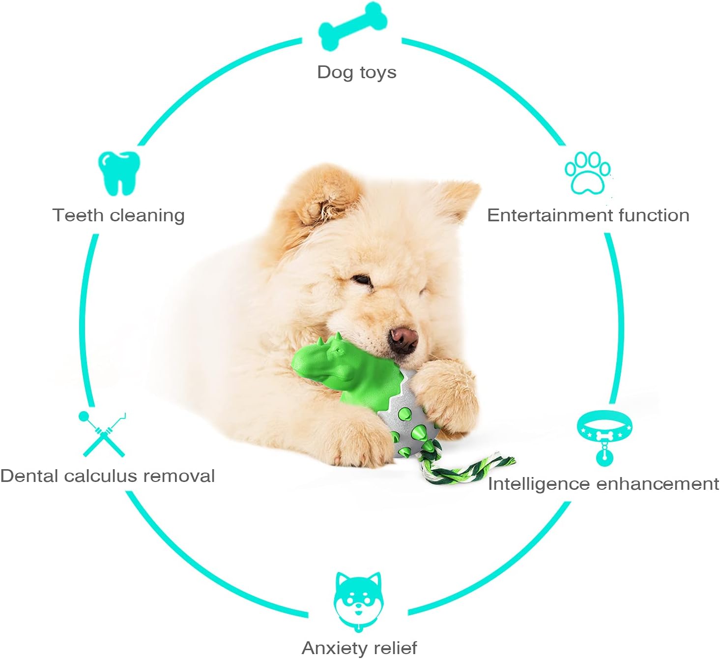 DinoEgg – The indestructible chew egg for healthy dog teeth!