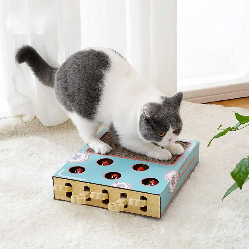 ScratchNest – The Ultimate 3-in-1 Playground for Your Cat
