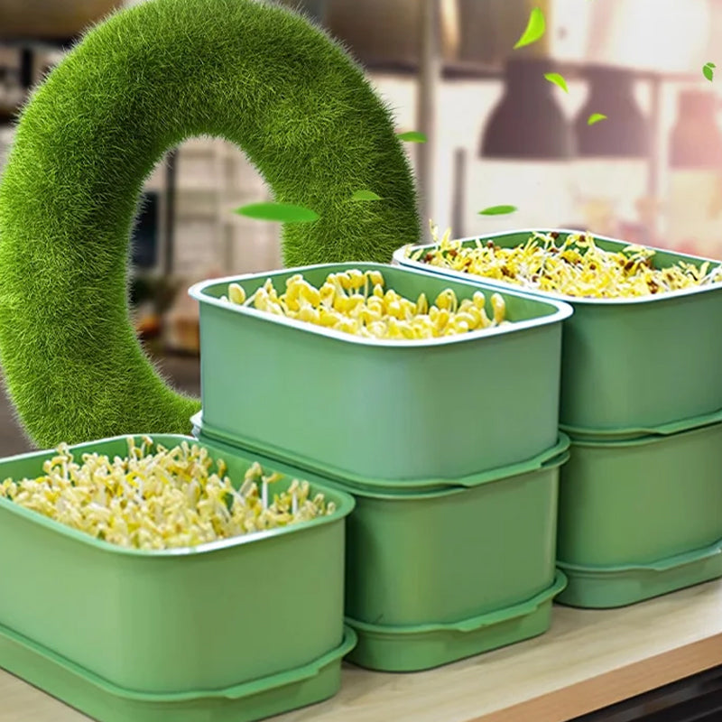 1+1 FREE | GreenBox – Fresh sprouts grown by yourself every day