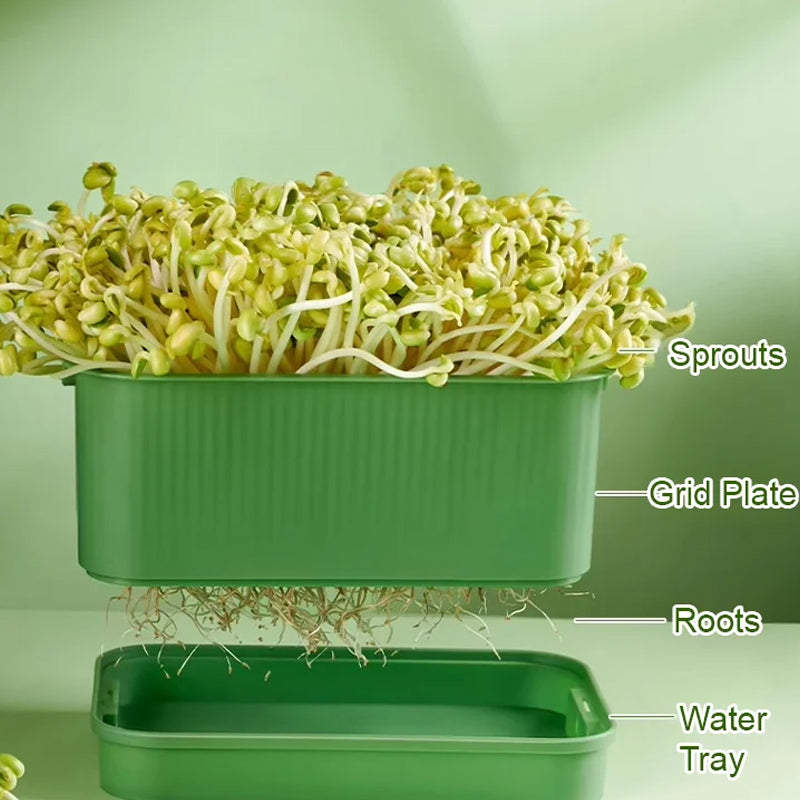 1+1 FREE | GreenBox – Fresh sprouts grown by yourself every day