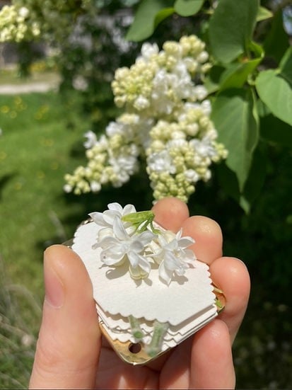 FloraKeep – Preserve Your Favorite Blossoms Forever!