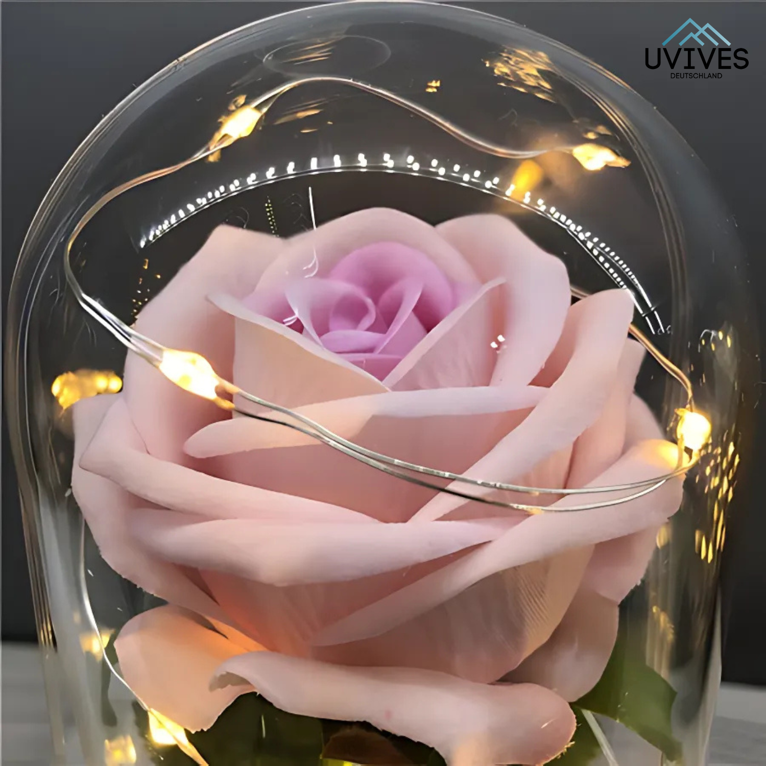 LumiRose Eternal – Love That Never Fades!