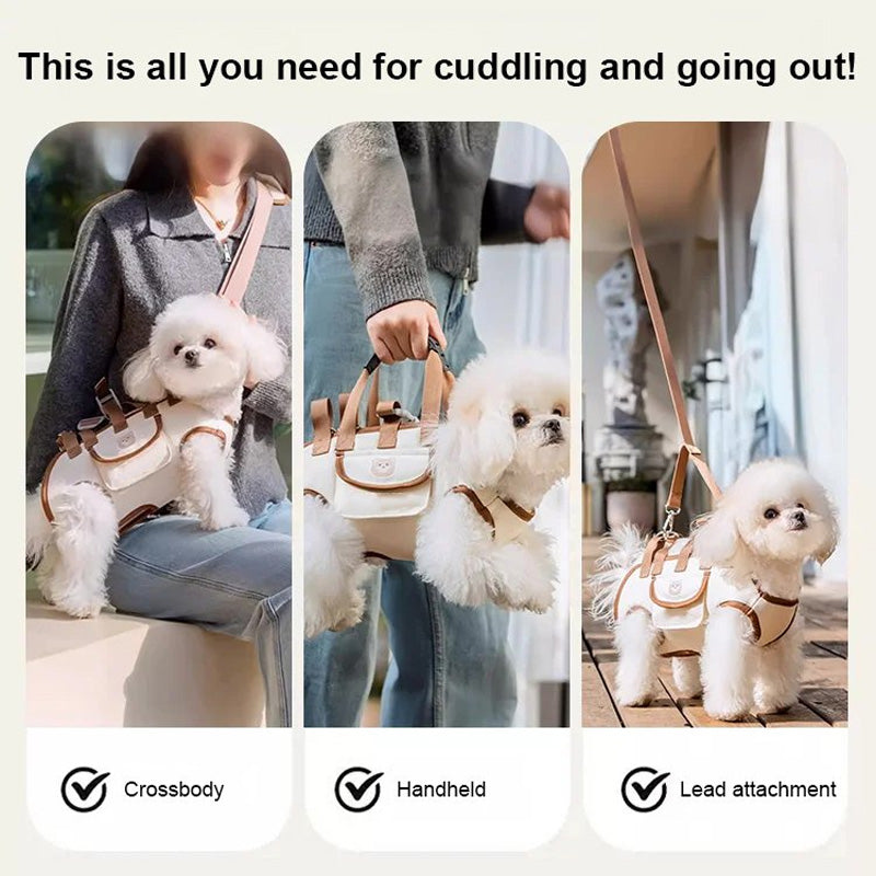 PetGo – Comfort & Safety for You and Your Pet!