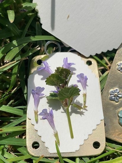 FloraKeep – Preserve Your Favorite Blossoms Forever!