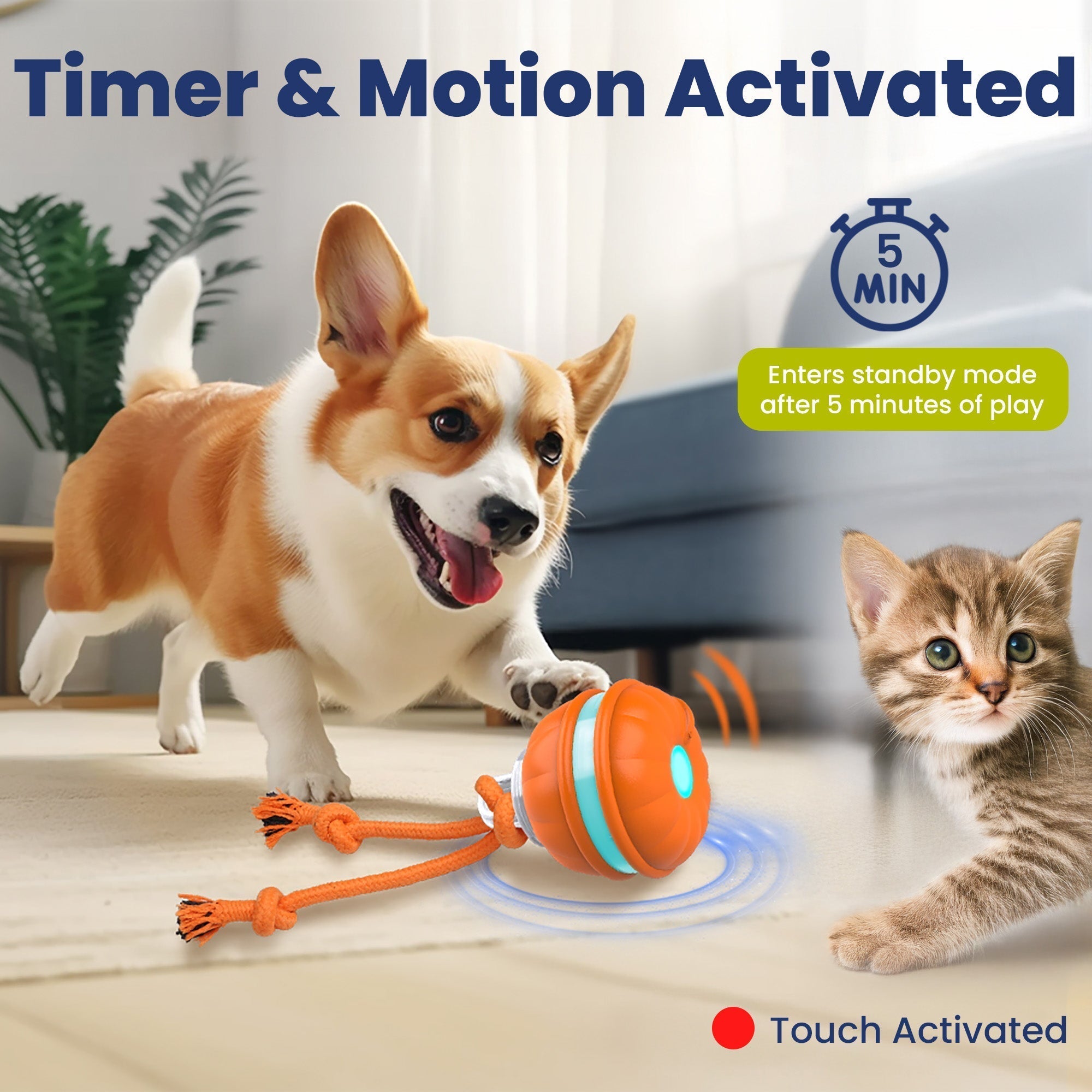 PawiBall – Finally a Happy & Fulfilled Dog