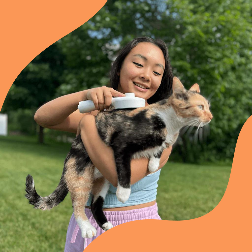 TickFreeGlow – The Gentle Solution for Parasites and Fur Care