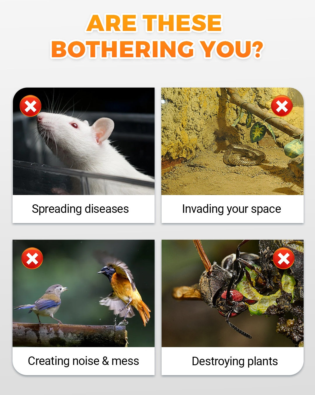 1+1 FREE | VibraGreen – Keep Your Garden Peaceful and Protected