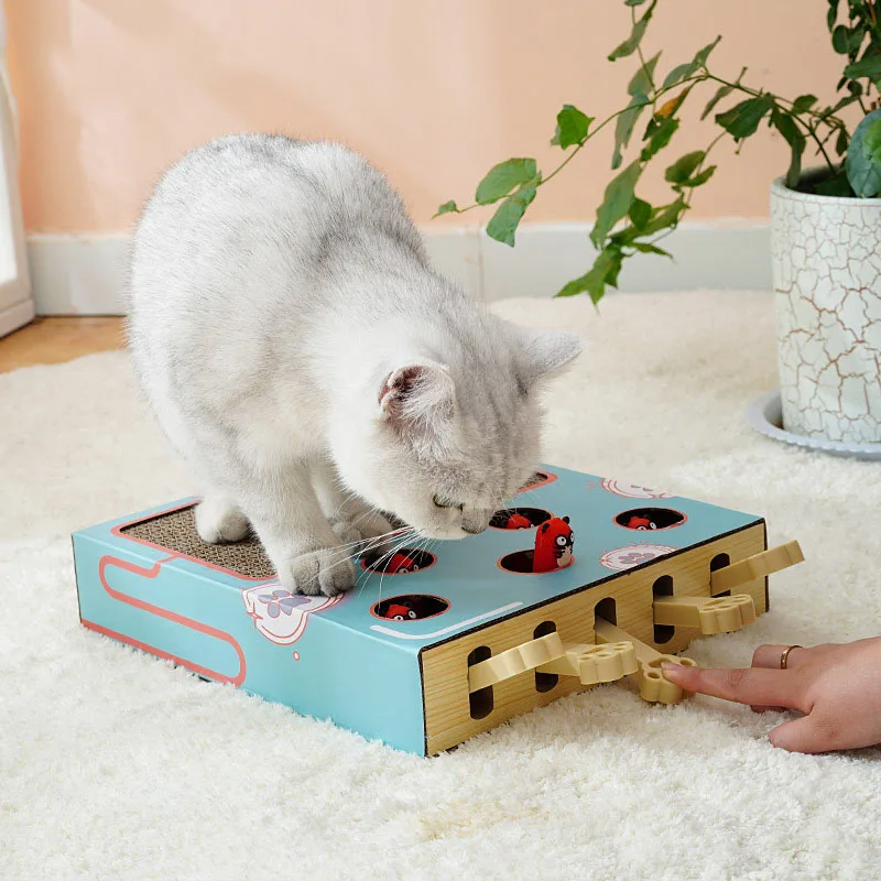 ScratchNest – The Ultimate 3-in-1 Playground for Your Cat