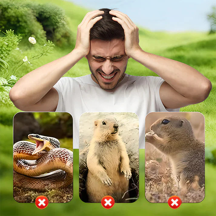 1+1 FREE | VibraGreen – Keep Your Garden Peaceful and Protected