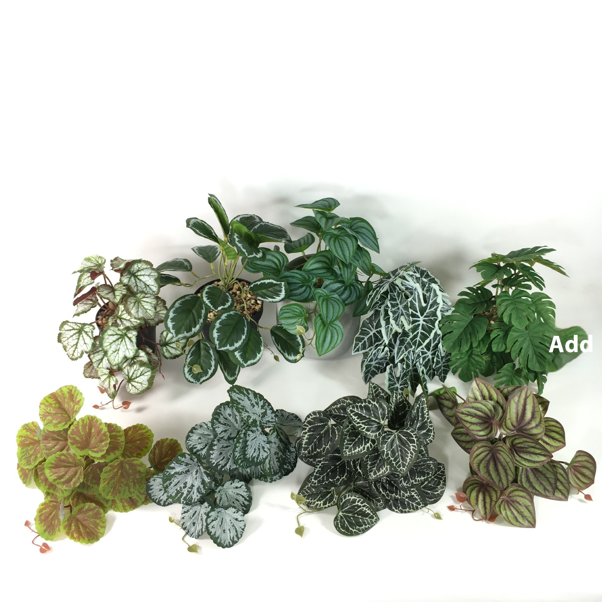 EverLush – Instant Realistic Greening Without Maintenance Effort ...