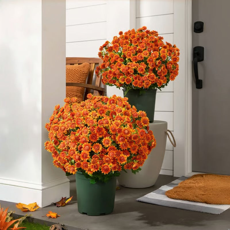 AutumnBloom – Permanent Autumn Splendor Without Maintenance!