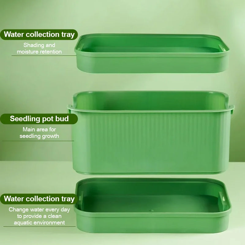 1+1 FREE | GreenBox – Fresh sprouts grown by yourself every day