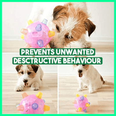 BounceBark - The ball that banishes boredom