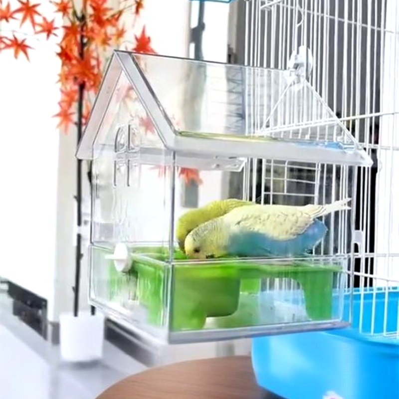 ClearFeast Bird – Clean feeding without food mess