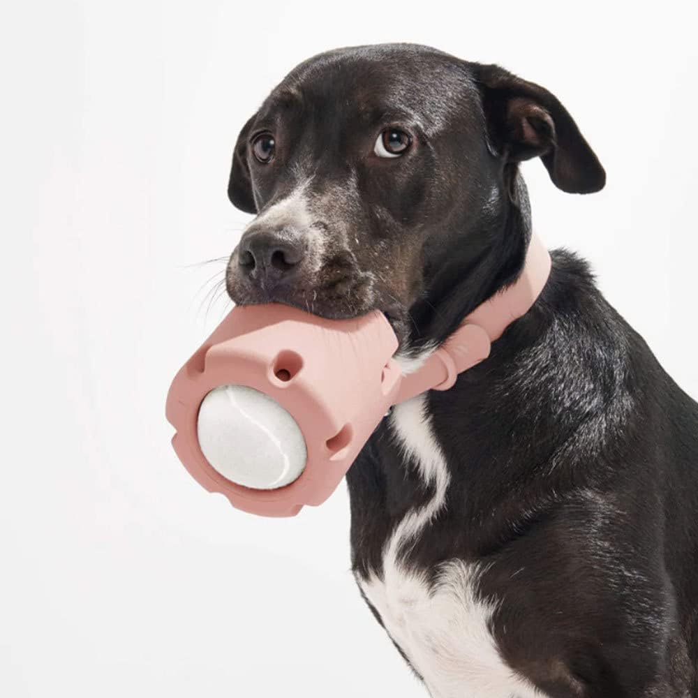 ChewJoy Pro – Healthy Teeth, Happy Dog!