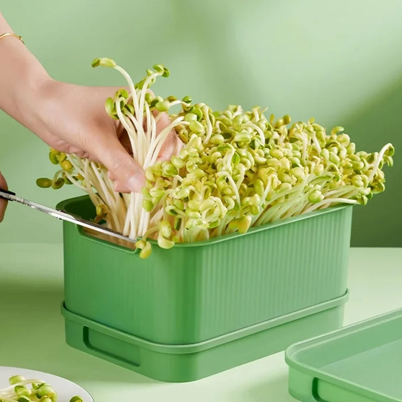 1+1 FREE | GreenBox – Fresh sprouts grown by yourself every day