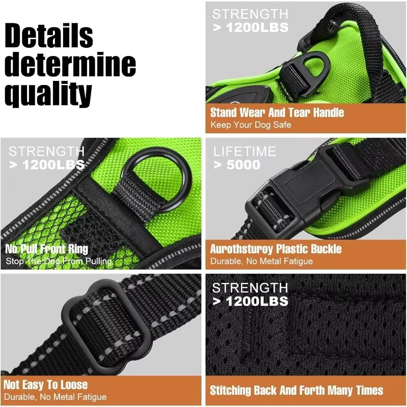 PawGuard – Safe & Stylish Walking