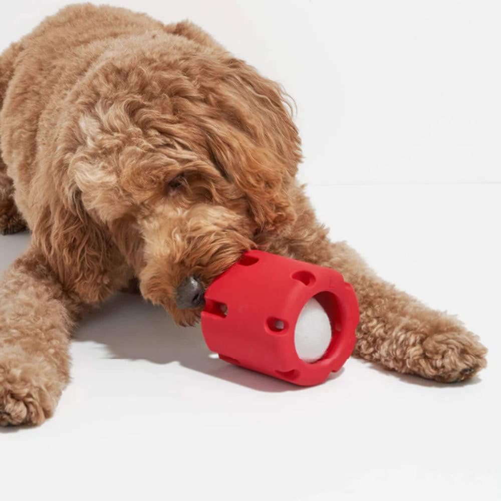ChewJoy Pro – Healthy Teeth, Happy Dog!