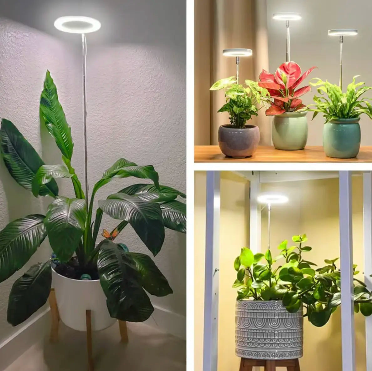 HerbaLite - Full spectrum plant lamp with adjustable stand