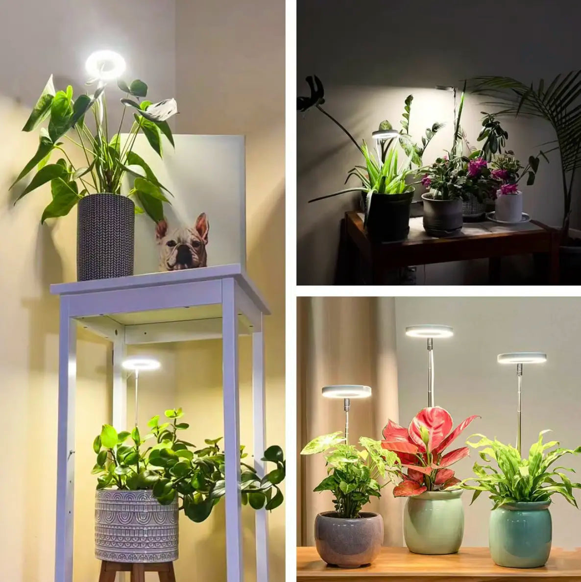 HerbaLite - Full spectrum plant lamp with adjustable stand