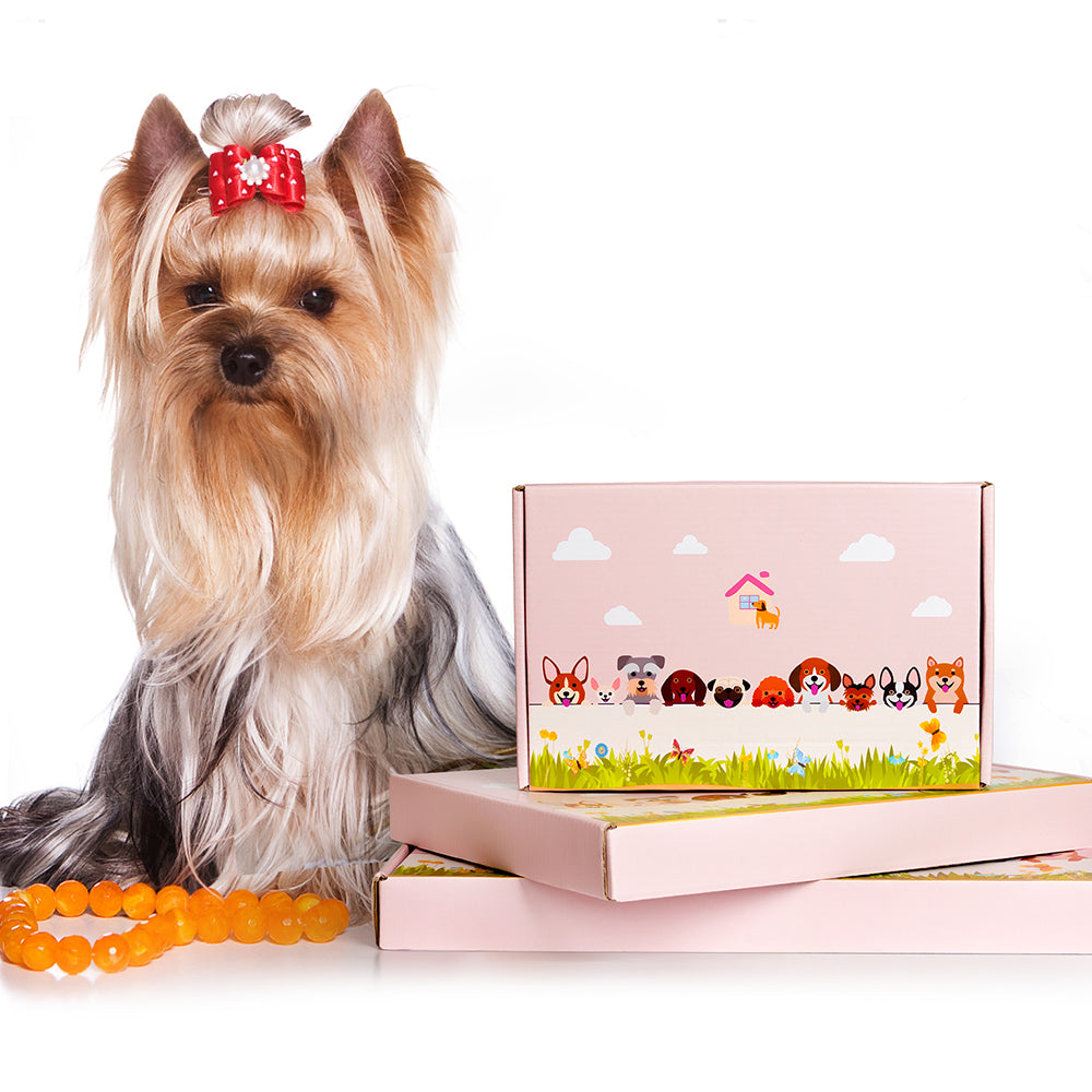 PawPlanter - The stylish flower pot for dog lovers