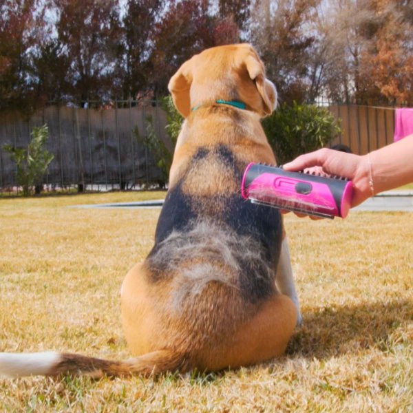 PurrGroom - No more itching or loose hair!