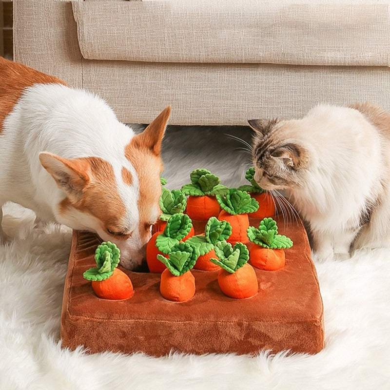 SniffPatch – Keep Your Dog Busy, Happy & Sharp!