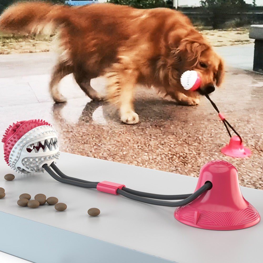 BarkFun - Interactive dog toy