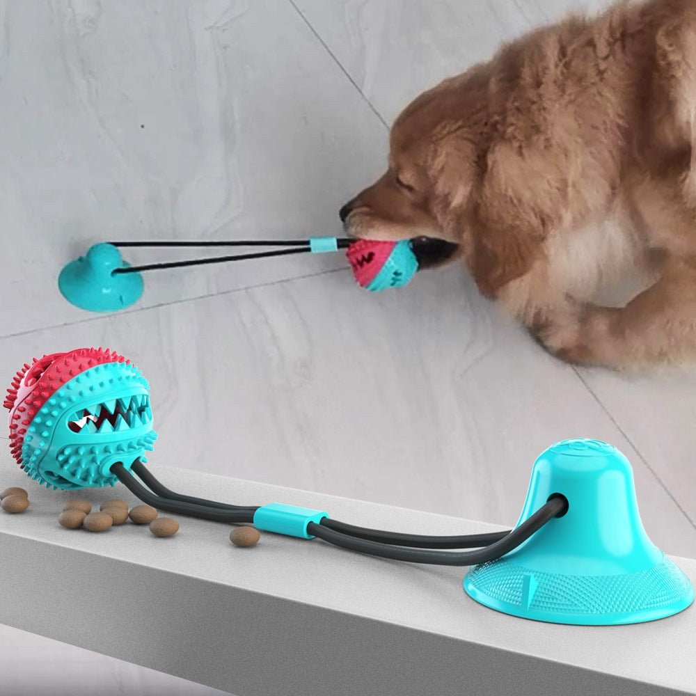 BarkFun - Interactive dog toy