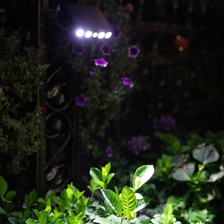 SolarSecure - security at night without electricity costs
